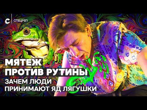 Видео: Я принял яд лягушки, чтобы стать лучше. Помогло?