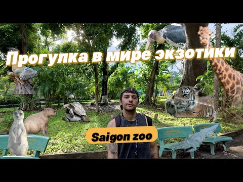 Видео: Самый зелёный уголок Сайгона: животный мир в центре Хошимина