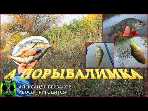 Видео: А порыбалимка. За окунем между работами.