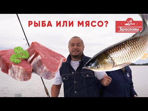 Видео: Рыба или Mясо? Браславский батл.