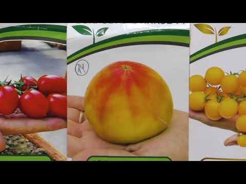 Видео: Томаты 2020. Мой выбор сортов и гибридов ч1. (укр)