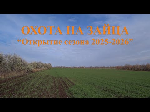 Видео: Охота на зайца - Открытие сезона 2025-2026