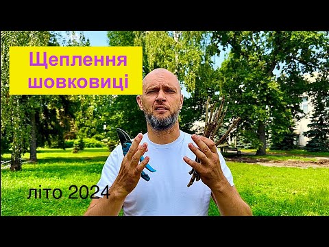 Видео: Щеплення шовковиці