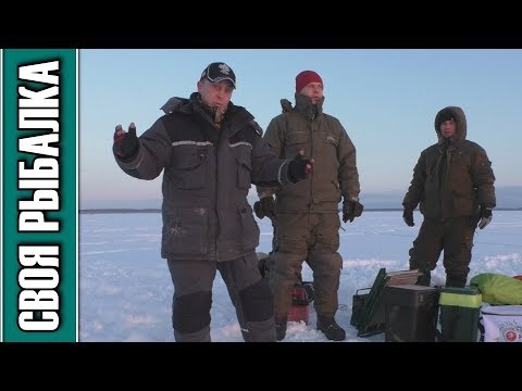 Видео: Ловля леща на тульские мормышки. Иваньковское водохранилище, январь