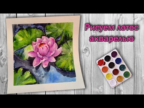 Видео: Цветок лотос акварельными красками. Рисуем цветок Лотоса акварелью