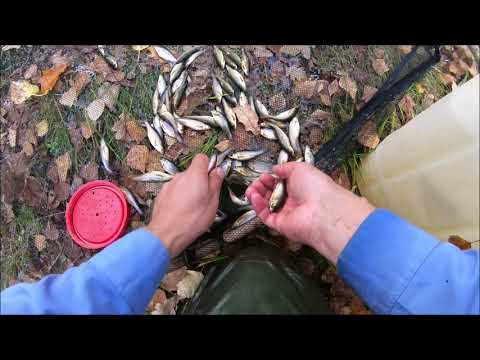 Видео: ЛОВЛЯ ЖИВЦА ПОДЪЕМНИКОМ. Catching live bait with a hoist