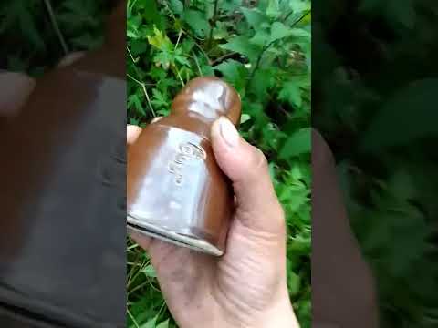 Видео: ТП ,и демонтированная лэп 0,4 КВ ,и заросшая вл 10 КВ деревьями