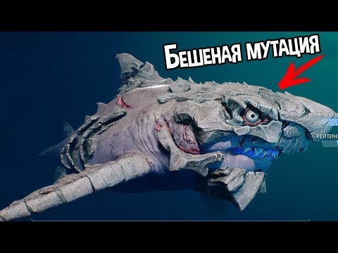 Видео: АКУЛА ЗАРАЗИЛАСЬ ЧЕМ ТО ИЗ КОСМОСА И ПРЕВРАТИЛАСЬ В ЭТО ( Maneater )