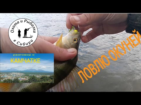 Видео: ловлю окуней и рассказываю про Камчатку!!