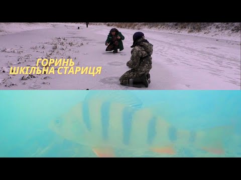 Видео: Зимова рибалка 2025. Ловим ОКУНЯ на ШКІЛЬНІЙ стариці р.Горинь