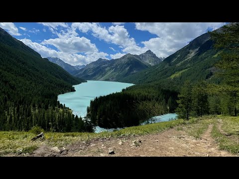 Видео: Дикие и стремительные реки Алтая 🫶