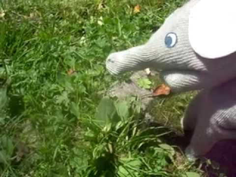 Видео: Слонёнок мульт x264