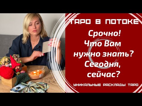 Видео: Срочно! Что Вам нужно знать? Сегодня, сейчас! Совет от высших сил для ВАС!