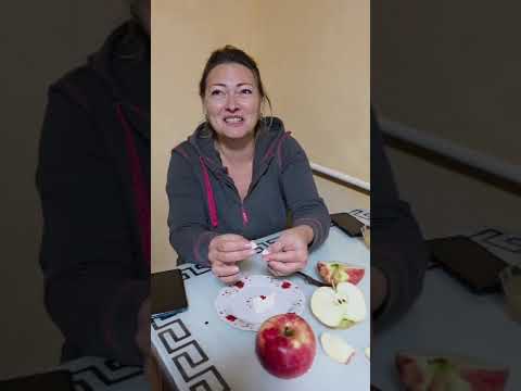 Видео: ДЕГУСТИРУЕМ КУРТ И ЯБЛОКИ АПОРТ | КАЗАХСТАН 