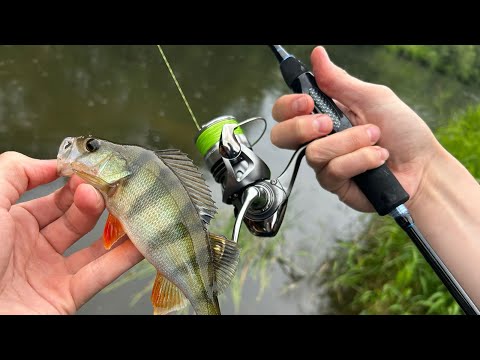 Видео: РЕЗУЛЬТАТИВНАЯ СОВМЕСТНАЯ РЫБАЛКА!)ЭМОЦИИ ЧЕРЕЗ КРАЙ!)
