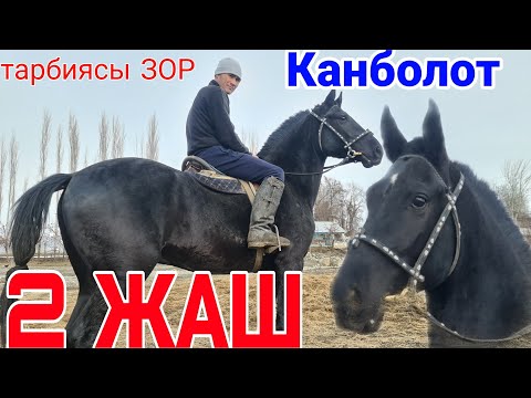 Видео: сатылды САНДЫКТАГЫ ӨСПҮРҮМ ЧЫКТЫ КАНБОЛОТТО ТЕЗ ЖЕТ 16.02.2022