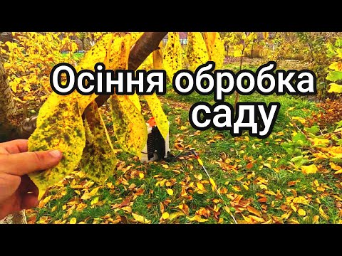 Видео: Коли і чим кропити дерева восени? /// Викорінююча обробка саду