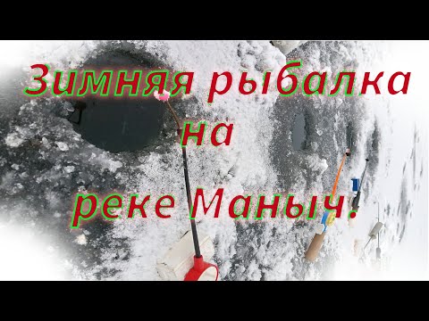 Видео: Зимняя рыбалка на реке Маныч.