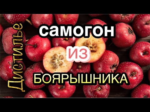 Видео: Самогон из боярышника