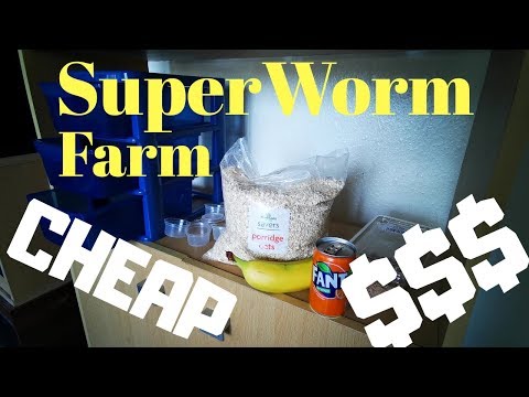 Видео: Ферма суперчервей (полная сборка в деталях) 2019 ДЕШЕВО