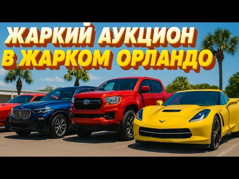 Видео: ОТЛИЧНЫЕ ВАРИАНТЫ. Аукцион в Орландо! Выбираем лучшие машины