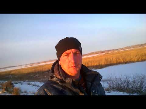 Видео: Село Корнилово. Каменского района Алтайского края.