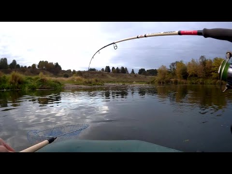Видео: Щука сплав по Днепру