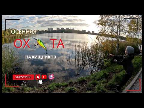 Видео: Осенняя Охота на хищников.Ловля Щучки.