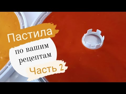 Видео: Пастила по вашим рецептам. пастила из тыквы, моркови, свёклы. Часть 2.
