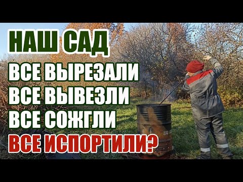 Видео: 48. КУПИЛИ ДОМ В НОВГОРОДСКОЙ ОБЛАСТИ. ВТОРОЙ ГОД ПРИВОДИМ В ПОРЯДОК САД.