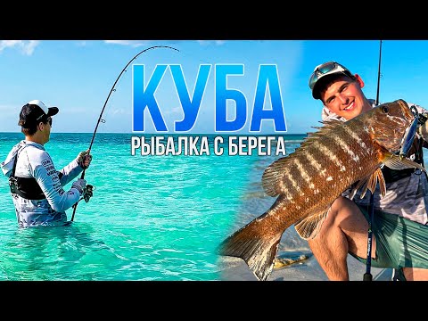 Видео: Первая МОРСКАЯ РЫБАЛКА на Кубе! Учусь спиннингу С НУЛЯ на Атлантическом побережье | Ловля с берега