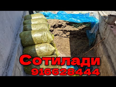 Видео: Силос Сотилади 916628444 кимга керак булса