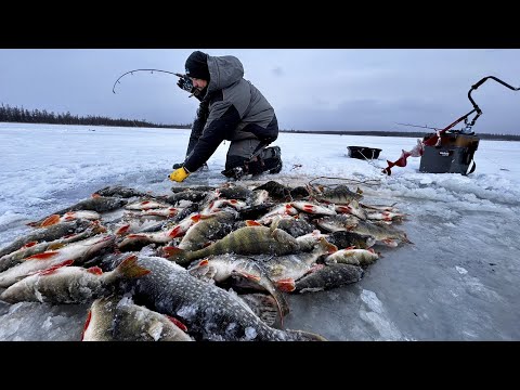 Видео: ЯКУТИЯ, ПЕРВЫЙ ЛЁД 2024-2025.