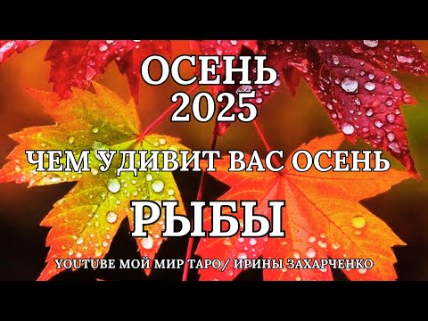 Видео: РЫБЫ ♓❤️ОСЕНЬ 2025🍂ЧЕМ УДИВИТ ВАС ОСЕНЬ🍁Таро прогноз для Рыб/Tarot forecast from Pisces.