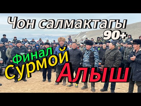 Видео: Мына курош бугун болду