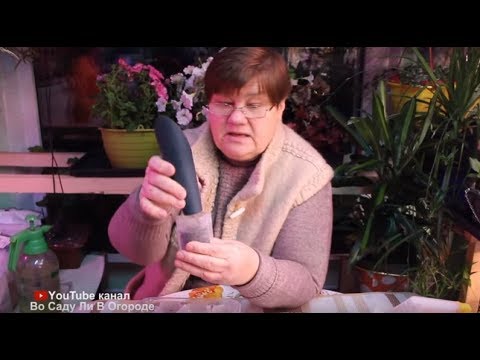 Видео: ЭУСТОМА НЕ ВСХОДИТ?! ЕСТЬ ОДИН ФОКУС! СЕЙЧАС ПОКАЖУ!