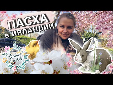 Видео: 🌸ПАСХА В ИРЛАНДИИ🐇/РЕТРО АВТОМОБИЛИ/ПОКУПКИ К ПАСХЕ🛍/РЕЦЕПТ КУЛИЧА😍/ОТРЫВАЮСЬ ПОСЛЕ ПОСТА😂😂