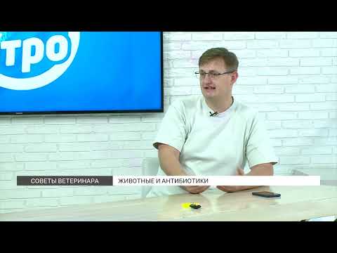 Видео: Советы ветеринара: животные и антибиотики