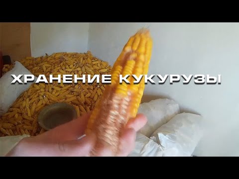 Видео: Хранение кукурузы