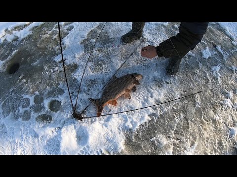 Видео: ЭТИ РЫБИНЫ РАЗОРВАЛИ НАМ ВСЕ СНАСТИ.ЛУЧШАЯ РЫБАЛКА ХАПУГАМИ В МОЕЙ ЖИЗНИ. САЗАН и ЩУКА НА ХАПУГИ.