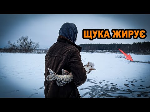Видео: Місцеві показали як треба ловити ЩУКУ! Щука на жерлиці 2023