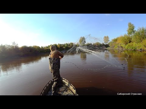 Видео: Река почти высохла. Но рыба в ней осталась.