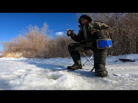 Видео: ЗИМНЯЯ РЫБАЛКА, Река ЛЕПСЫ . РЫБАЛКА с НОЧЁВКОЙ.