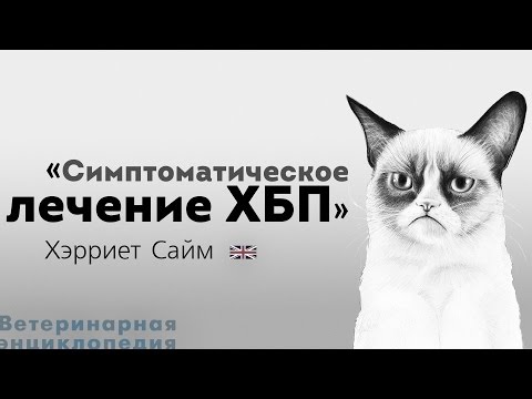 Видео: Симптоматическое лечение ХБП. Management of CKD