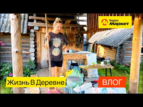 Видео: Одна С Детьми| Северное Сияние!? Покупки С Яндекс Маркета| Много Грибов| Купили Старый Дом