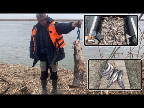 Видео: Рыбалка на Раскатах. Сом и сазан на ямах, море карася, тонны малька. Мы первые! Ледяные торосы