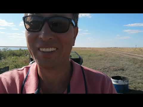 Видео: Балыктыколь в августе