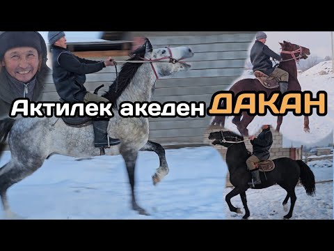Видео: САТЫЛДЫ АТТАР