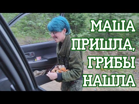 Видео: Мария Маркина - расхитительница грибниц