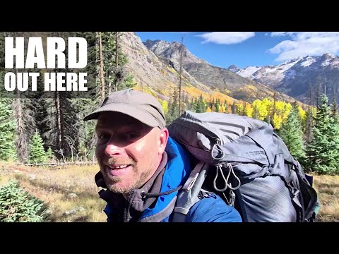 Видео: Моя бездомная жизнь